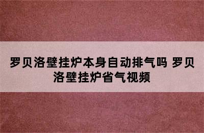 罗贝洛壁挂炉本身自动排气吗 罗贝洛壁挂炉省气视频